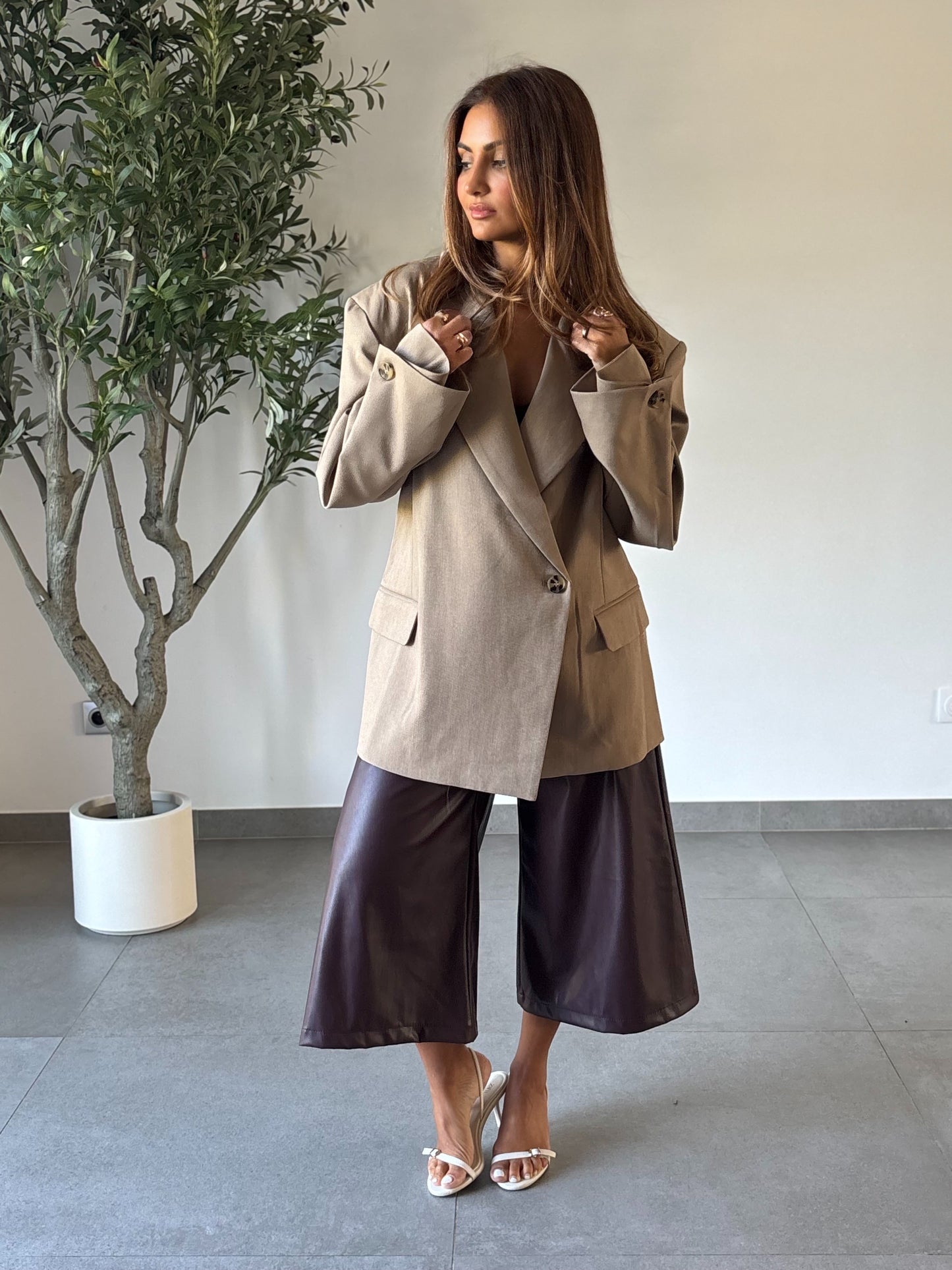 Blazer Mani Taupe